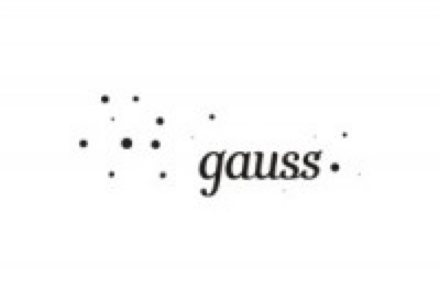 GAUSS(группа VARTON)